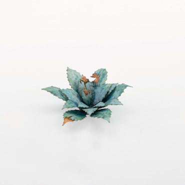 Laser Plants - Blue Agave