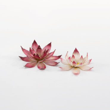 Laser Plants - Lotus Flower