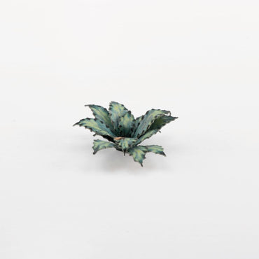Laser Plants - Blue Agave