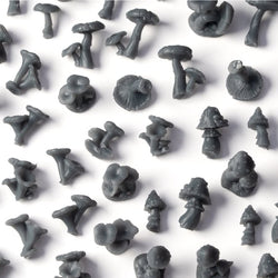 Basing Bits - Forest Mushrooms