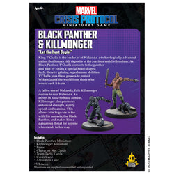Black Panther & Killmonger