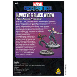 Hawkeye & Black Widow, Agent of S.H.I.E.L.D.