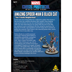 Amazing Spider-Man & Black Cat