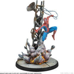 Amazing Spider-Man & Black Cat