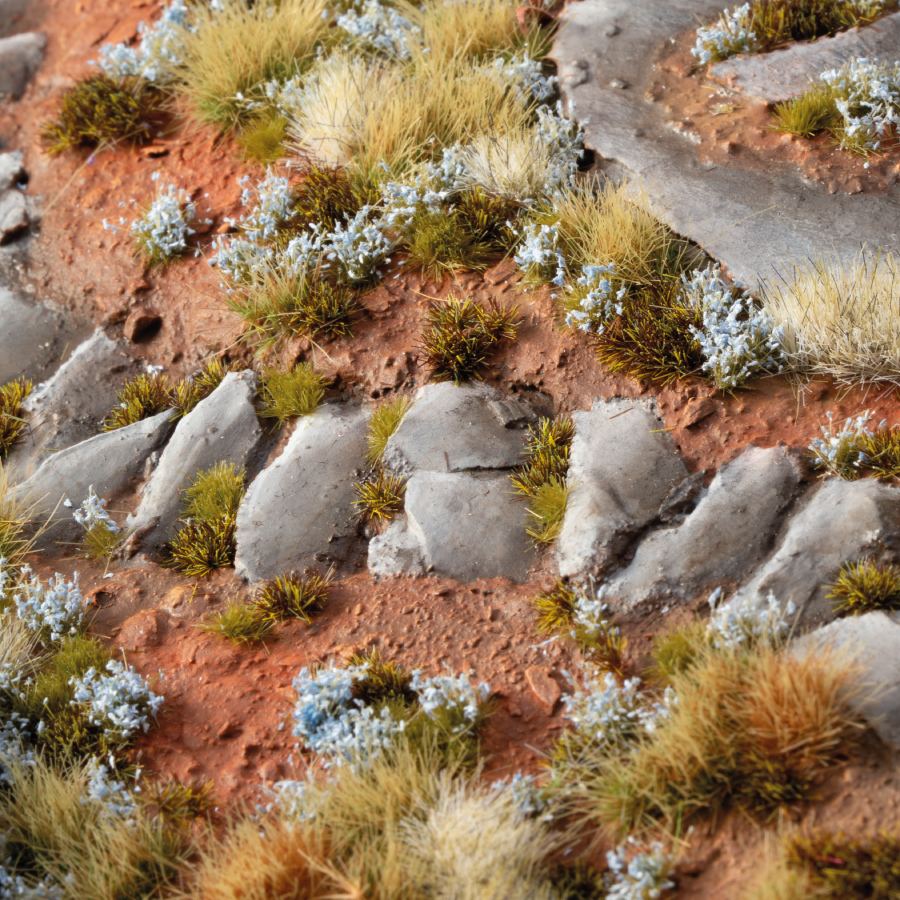 Forget-me-not Tiny Flowers
