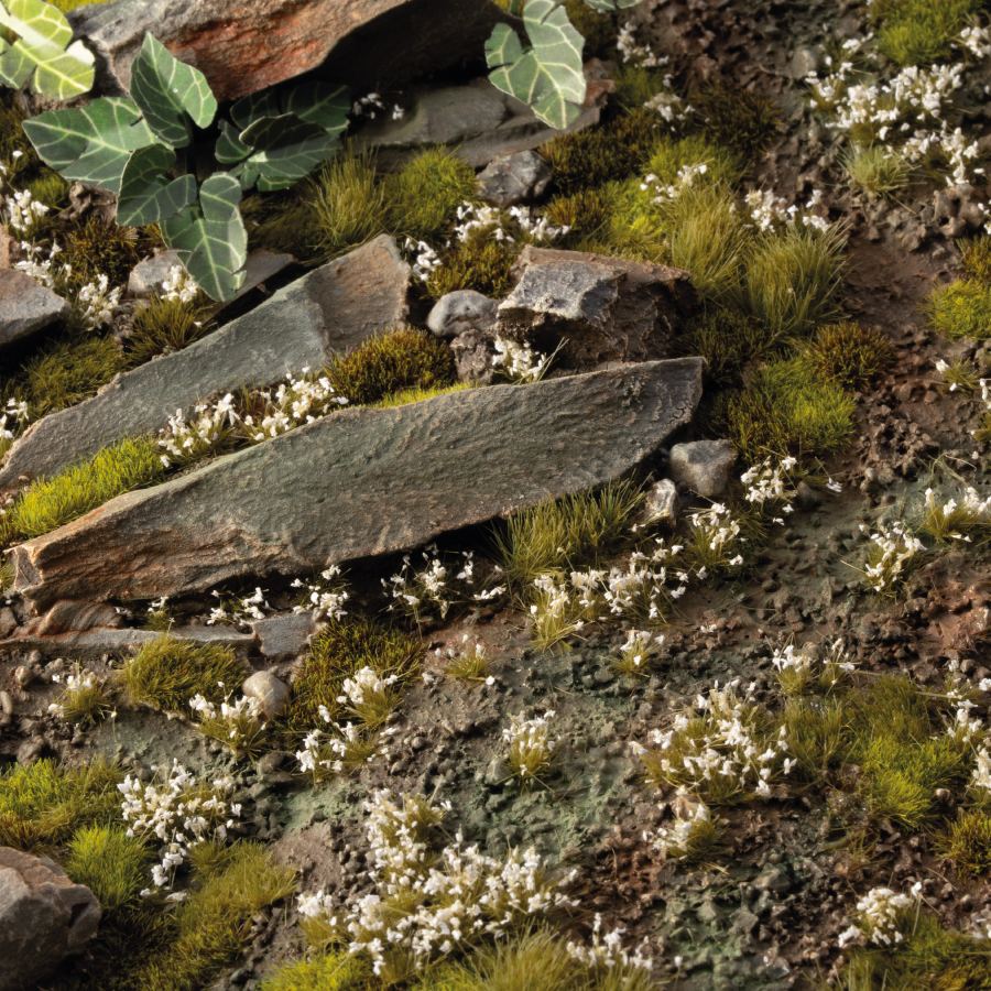 White Lily Tiny Flowers