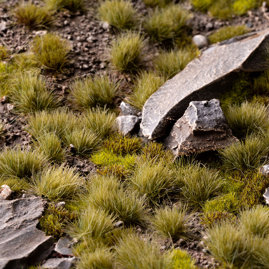 Dry Green 6mm - Wild