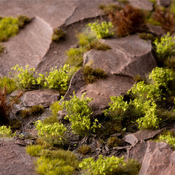 Green Shrubs 6mm - Wild