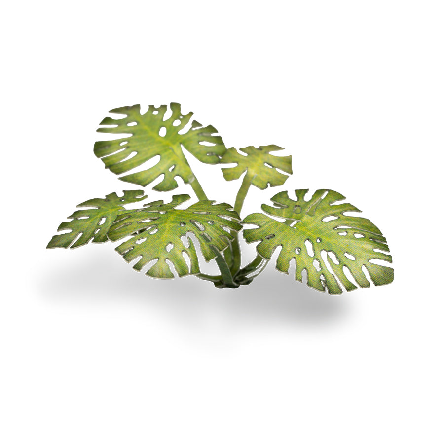 Laser Plants - Monstera