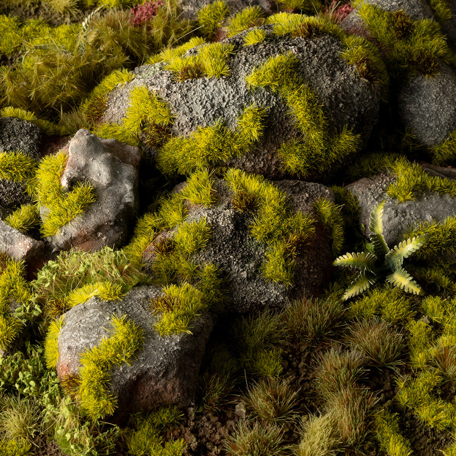 Moss 2mm