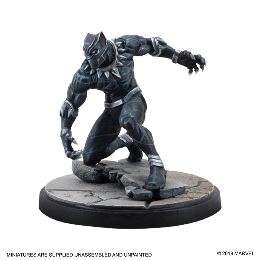 Black Panther & Killmonger
